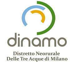 Logo Dinamo